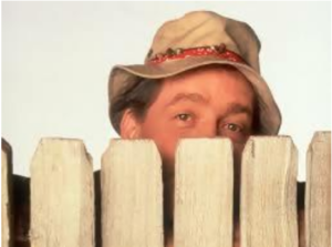 Who played Wilson on Home Improvement