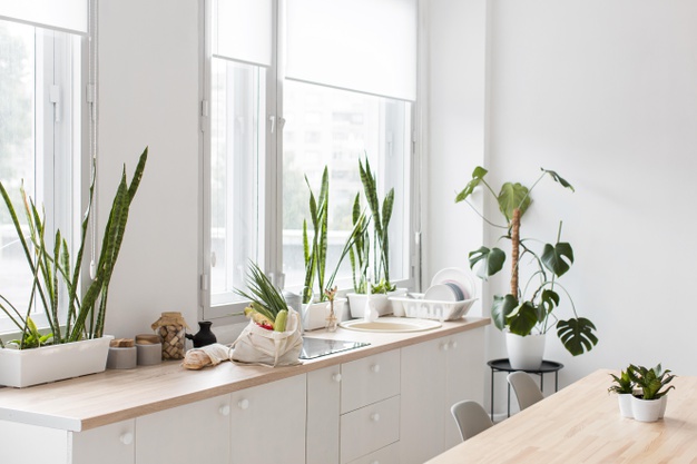 5 Kitchen Ideas for a Minimalist Home